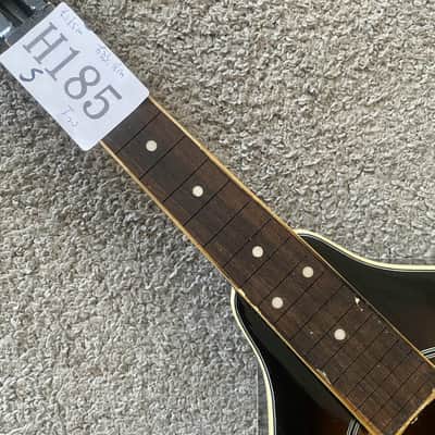 Sunburst 8 String Mandolin Project, Spruce Top, Mahogany Body, Rosewood Fingerboard image 12