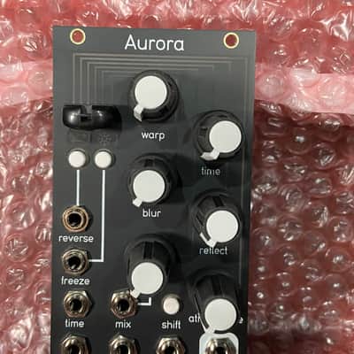 Qu-Bit Electronix Aurora image 4