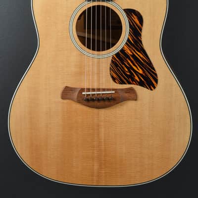 Taylor Gold Label 517e image 2