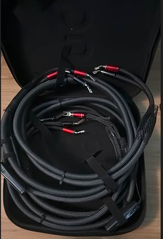 Audioquest 2 meter - Bass / Zero Dragon Speaker Cable PSS Silver Full-Range HiFi Audio Amplifier Loudspeaker Wire image 1