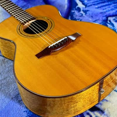 2020 Hippner Dabema Acoustic Steel String Guitar Auditorium - OM with Fishman Sonitone Pickup image 1