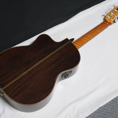 Used Aria A-60CWE classical acoustic electric Guitar - Nylon Strings - with Bag image 6