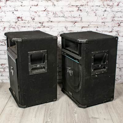 Peavey - SP 5 XT - Pair of Passive Full-Range PA Speakers - 250/500w at 8O, x3093 (USED) image 4