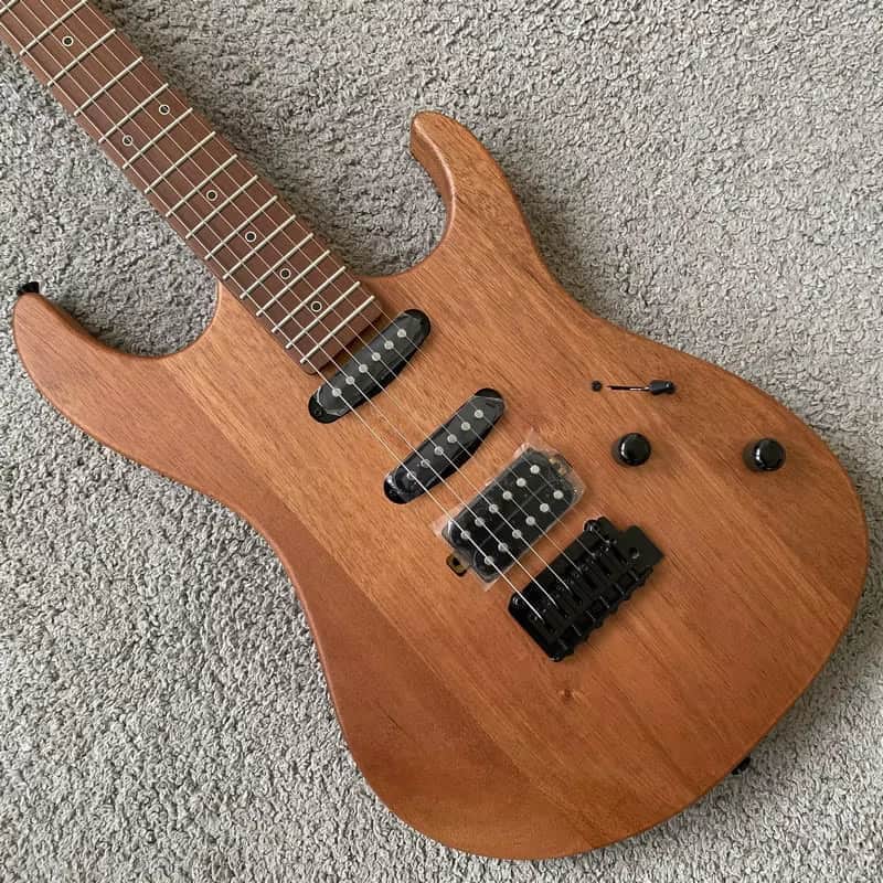 Xavier HSS Electric Guitar, Mahogany Body, Roasted Maple Neck image 1