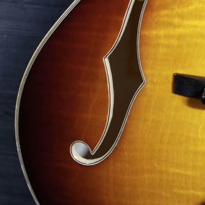 Eastman AR480CE John Pisano 30th Anniversary Archtop Electric Guitar Sunburst image 17