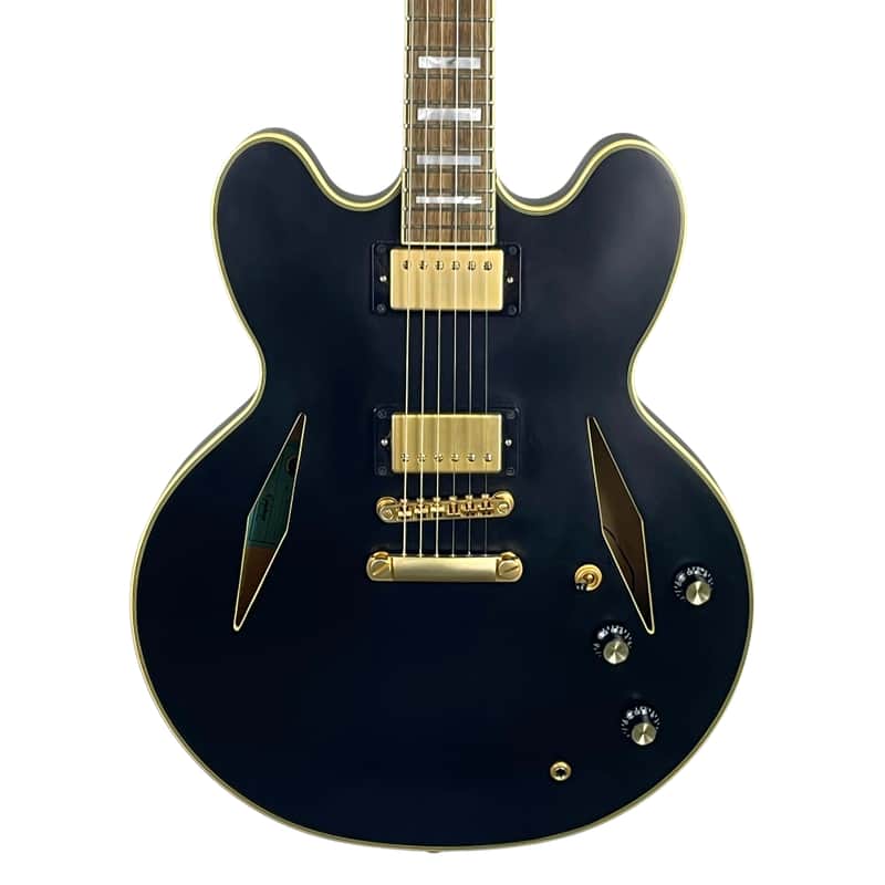 Epiphone Emily Wolfe Sheraton Semi-Hollow Electric Guitar w/Gig Bag (Used) image 1