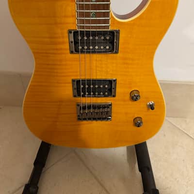 Special Edition Custom Telecaster FMT HH, Laurel Fingerboard, Amber image 5