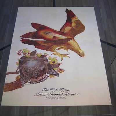 Fender Telecaster & Twin Reverb Authentic Vintage Poster "The High-Flying Mellow-Throated Telecaster" Artist Endicott Circa-1976-Multi Color image 12