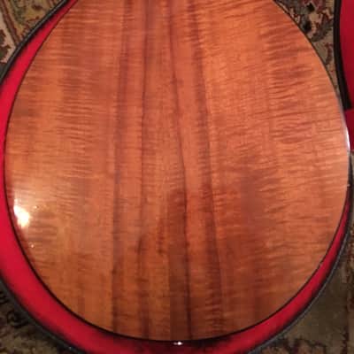 Flatiron 3k Bouzouki image 5