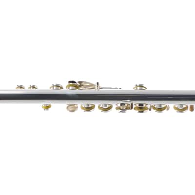 William S. Haynes Custom Silver Flute with B Foot, Offset G, C# Trill, Split E image 8