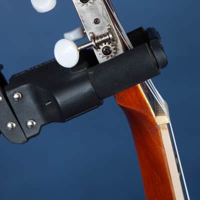 Lyon & Healy Parlor Guitar Circa 1905 / Over a Century of Seasoning! / June Special!!! image 12