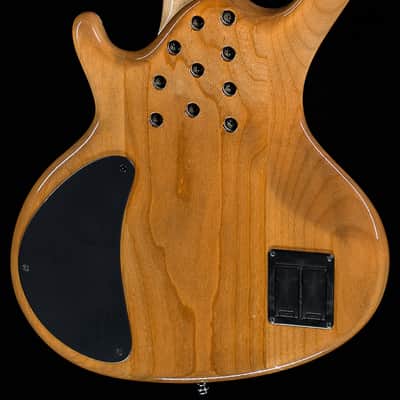Ritter Roya 5-String Captain Silver USED (183) image 2