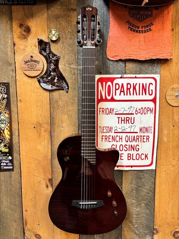 Cordoba Limited-Edition Stage Thin Body Nylon Acoustic/Electric - Garnet