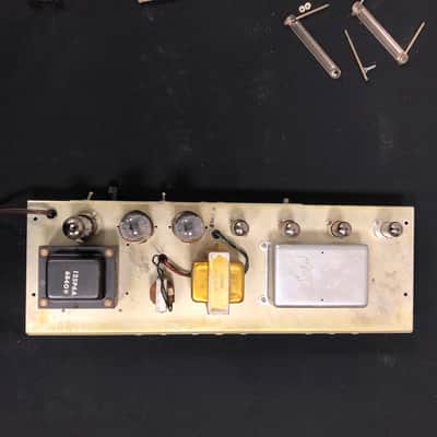 1963 Fender Tremolux Amp Head (Blonde 6G9-B) w/ 2X10 Cabinet Owned by Ian D'Sa of Billy Talent image 20