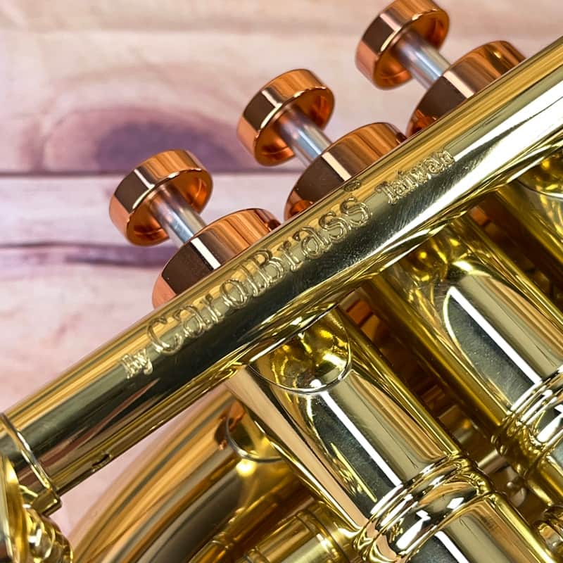 Carol Brass Taylor Phat Puppy Pocket Flugelhorn | Reverb