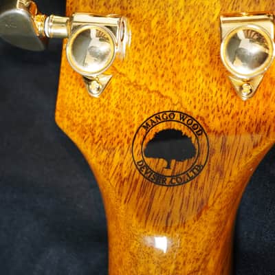 Bacchus BLC-MG KY Les Paul Custom – Mango Wood Top / Mango Body image 14