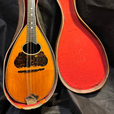 Washburn Bowlback Mandolin Stlye 215 - Brazilian Rosewood - Great Player -Org. Case - Clean! - Ships FREE!!! image 23