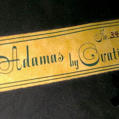 Adamas 12 string - the Larry Coryell Collection image 9