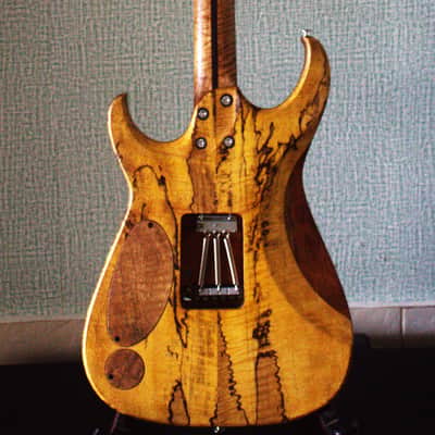 Bakat/Bhakatt Guitar Double Cut 2026 - Satin Polyurethane and oil image 19