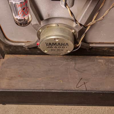 Fender Bantam Bass-Amp - 2-Channel 30-Watt 1x15" Guitar Combo 1969 - 1971 - Silverface image 24