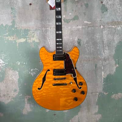 D'Angelico Excel DC XT | Reverb