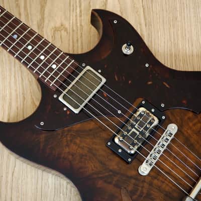 2015 Echopark Custom Crow Case Study Boutique Semi-Hollowbody Electric Guitar w/ ohsc, QOTSA image 10