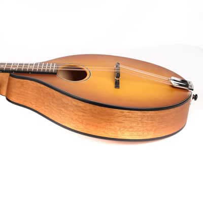 Eastman PCH-M104-GB Mandolin Goldburst image 5