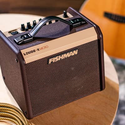 Fishman PRO-LBT-400 Loudbox Micro Lightweight 40W Practice Acoutic Combo Amplifier Brown PRO-LBT400 image 2