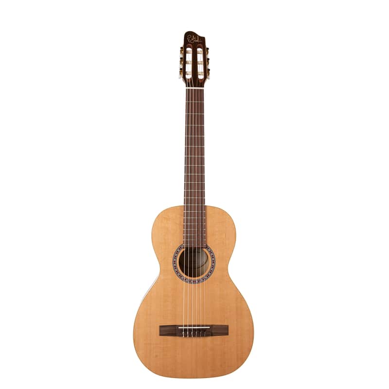 Godin Motif image 1
