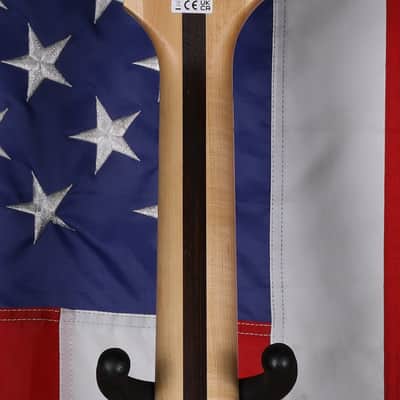 Jackson Pro Series Dinky DK Modern Ash FR6 - Baked White image 7
