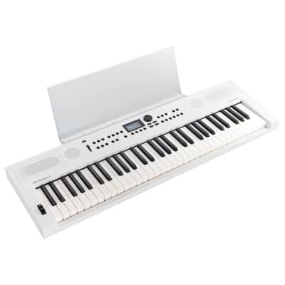 Roland GO:KEYS 5 61-Note Music Creation Keyboard with ZEN-Core Engine, Microphone Input, and 300 Ready-to-Play Presets (White) image 5