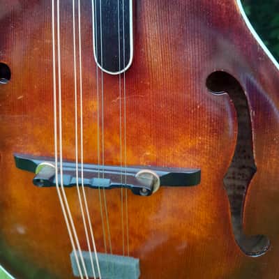 Vanden F5 Mandolin image 6