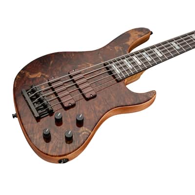 *PRE-SALE* Sadowsky Masterbuilt 2021 LTD 24-Fret Modern 5-String, Claro Walnut, 30 Worldwide image 6