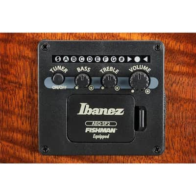 Ibanez [New Instrument Support Sale] [Limited Quantity Special Price] Ibanez AEWC400-TKS image 7