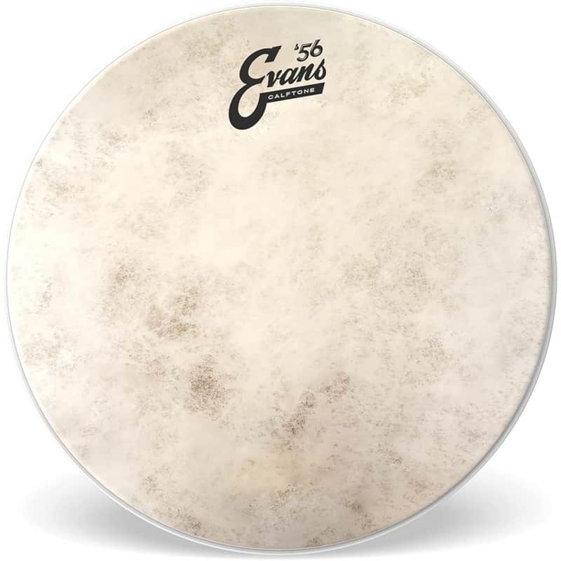 Evans TT10C7 Calftone Tom Batter 10 inch image 1