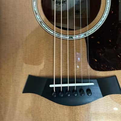 Taylor 517e Grand Pacific 2024 - Torrefied spruce top, Urban bark sides and back with shaded edge burst image 2