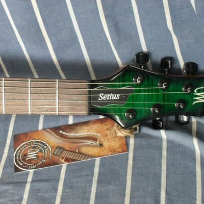 Mayones Setius GTM 6 Transparent Dirty Green gloss image 6