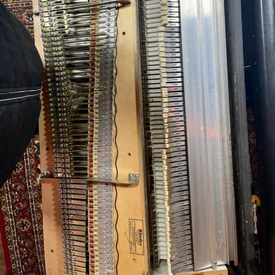 Fender Rhodes MK1 Stage Piano Seventy Three 1978 image 13