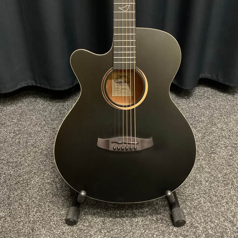 Tanglewood Blackbird