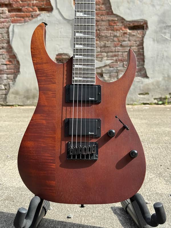 Ibanez GRG121DXWNF Electric Guitar Walnut Flat image 1