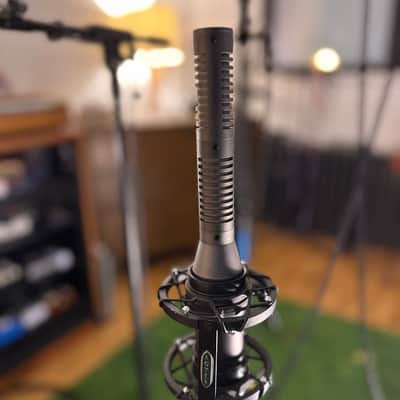 Royer SF-24 Stereo Active Ribbon Microphone 2010s - Black image 3