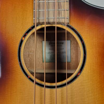 Breedlove Discovery S Concert Bass CE - Edgeburst, B-Stock Free Shipping image 10