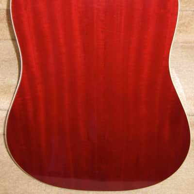 Walden D351SR Acoustic Dreadnought Guitar image 4