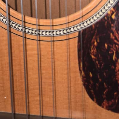 Very Nice Martin 000C-16GTE and OHSC image 4