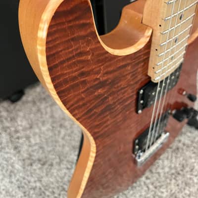 Custom-Built Partscaster image 2