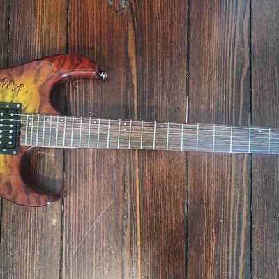 Washburn X Series Guitar (Signed by "Lacuna Coil") image 8