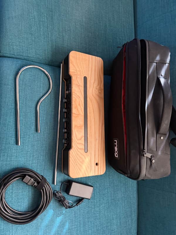 Moog Etherwave Theremin 2022 - Present - Black / Natural