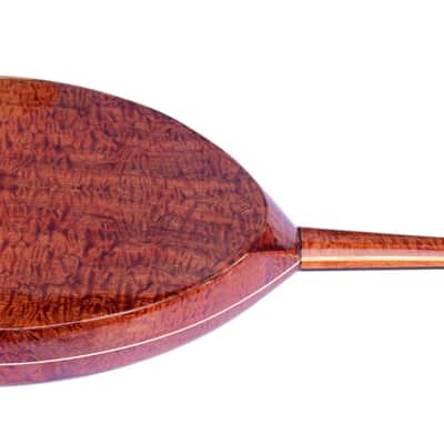 Special Electric Arabic Oud String Musical Instrument UNQ-20EA By Miras image 9