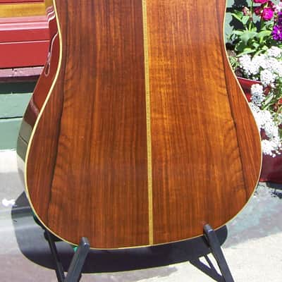 Martin D-28 1944 - Burst image 2