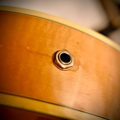 Fender D'Aquisto Elite Natural 1984 image 23